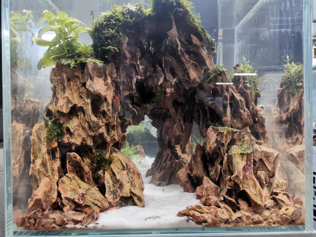 微型缸组一等奖(作品名称:汇川,参赛队员:张倩鸿)