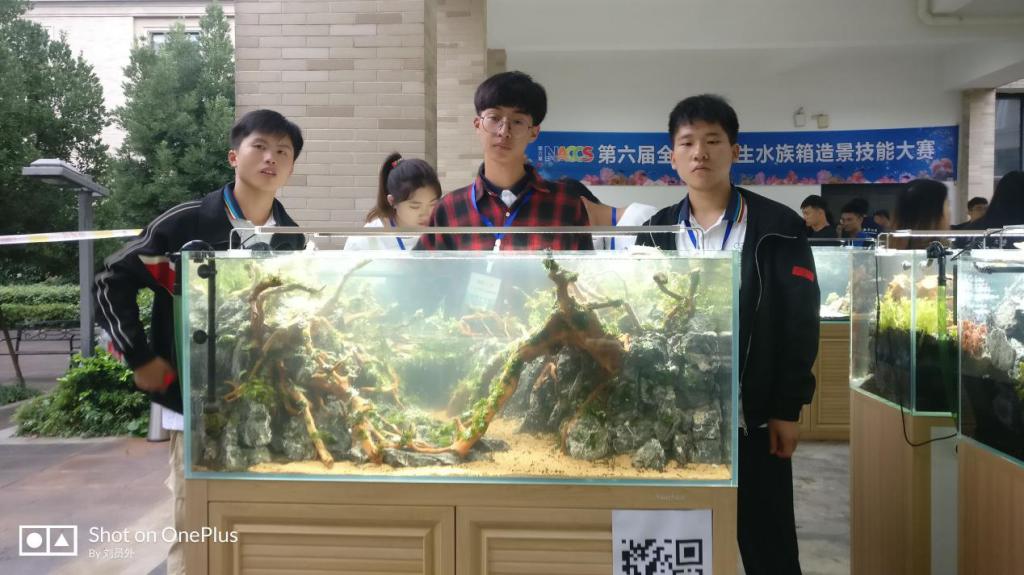 大型缸特等奖(作品名称:梦之森源,参赛队员:刘鹏、常德胜、刘亚强)